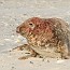 thumbs/IMG_0945.jpg
